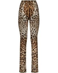 Dolce & Gabbana - Kim Dolce&Gabbana Leopard-Print Flared Trousers - Lyst