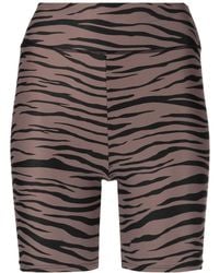 Tropic of C Zebra-print Thigh-length Cycling Shorts - Brown