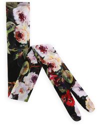 Dolce & Gabbana - Rose Garden Tulle Tights - Lyst