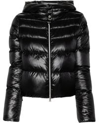 Herno - Donsjack Met Capuchon - Lyst