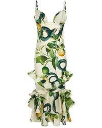Roberto Cavalli - Gerüschtes Midikleid mit Schlangen-Print - Lyst