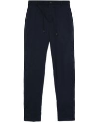 Peserico - Chino Met Toelopende Pijpen - Lyst