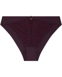 Aubade - Eloge Du Desir Embroidered Briefs - Lyst