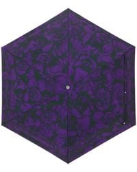 Burberry - Rose-print Two-tone Umbrella - Lyst