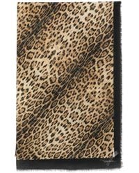 Roberto Cavalli - Cashmere Blend Pashmina With All-Over Jaguar Print And Contrasting Hem - Lyst