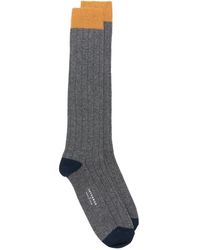 In The Box - Ribbed Colour-block Socks - Lyst