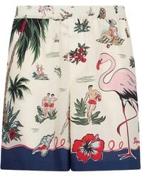 DSquared² - Korte Meerkleurige Flamingo - Lyst