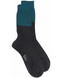 Plan C - Ribbed Cotton Socks - Lyst