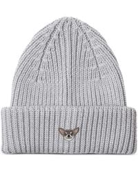 PELO FOUNDATION - Chihuahua Beanie Hat - Lyst