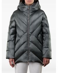 Moorer - Wanita Gewatteerd Jack - Lyst