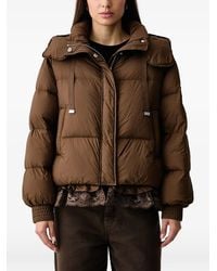 ERMANNO FIRENZE - Lace-Trim Hooded Puffer Jacket - Lyst
