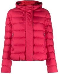 Colmar - Jack Met Logopatch - Lyst