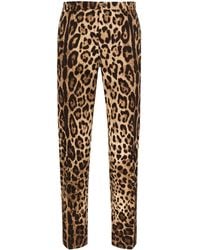Dolce & Gabbana - Leopard-Print Tailored Trousers - Lyst