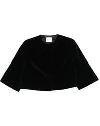 Erdem - Embellished Velvet Cropped Evening Jacket - Lyst