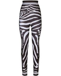Dolce & Gabbana - High-Rise Leggings mit Zebra-Print - Lyst
