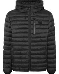 Philipp Plein - Light Jacket Bollo Tiger - Lyst