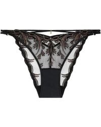 Aubade - Cosmic Romance Embroidered Briefs - Lyst