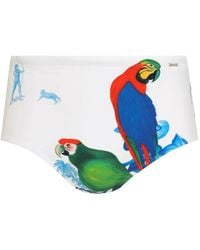 Amir Slama - Parrot-Print Swimming Trunks - Lyst