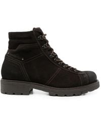 Nero Giardini - Lace-Up Suede Combat Boots - Lyst