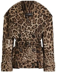 Dolce & Gabbana - Leo-Print Cotton Drill Jacket - Lyst