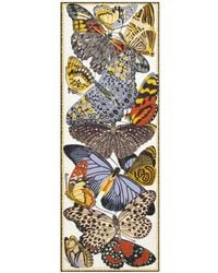 Inoui Edition - Papillons Butterfly-Print Scarf - Lyst