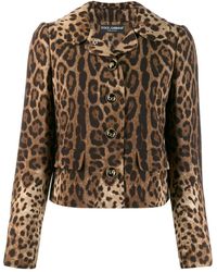 Dolce & Gabbana - Leopard Print Jacket - Lyst