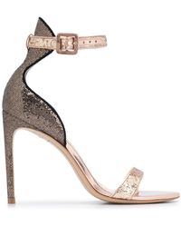 sophia webster nicole 85