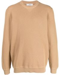 Pringle of Scotland - Round Neck Cotton Jumper - Lyst