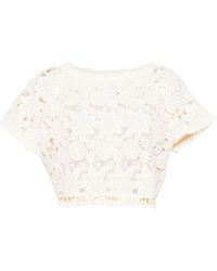 Just BEE Queen - Rosie Floral-lace Cotton Top - Lyst