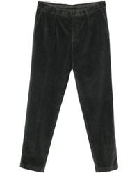 Peserico - Pleated Corduroy Pants - Lyst