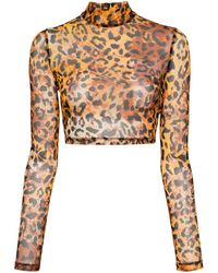 Just Cavalli - Leopard-print Cropped Top - Lyst