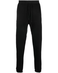 Emporio Armani - Tapered Cotton Track Pants - Lyst