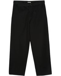 AURALEE - Pantalones anchos con cinturón - Lyst