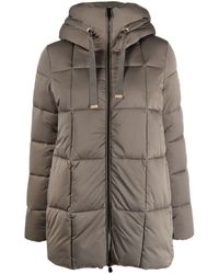 Save The Duck - Padded Hooded Coat - Lyst