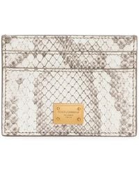 Dolce & Gabbana - Porte-Cartes À Effet Peau De Python - Lyst