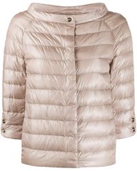 Herno Veste courte matelassée - Multicolore