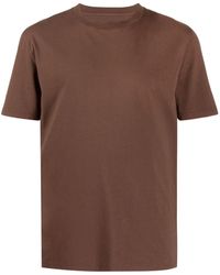 t shirt kd marroni