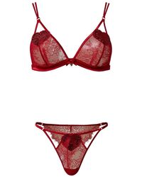 Twinset - Lace Triangle Bra And Briefs Set - Lyst