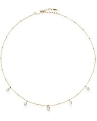 Missoma - Baya Pearl-Embellished Choker Necklace - Lyst