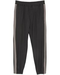 Eleventy - Side-Stripe Track Pants - Lyst