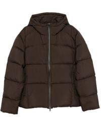 Samsøe & Samsøe - Sapax Hooded Puffer Jacket - Lyst