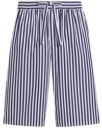 Dolce & Gabbana - Striped Poplin Vanity Bermuda Shorts - Lyst