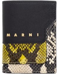 Marni - Wallets & Cardholders - Lyst