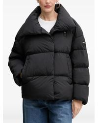 Blauer - Veste À Design Matelassé - Lyst