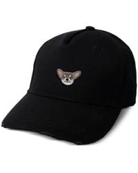 PELO FOUNDATION - Chihuahua Baseballkappe - Lyst