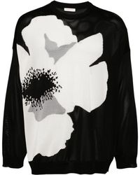 Valentino Garavani - Flower-print Cotton-jersey Sweatshirt - Lyst