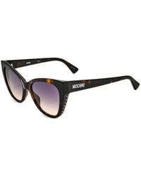 Moschino - 54Mm Havana Sunglasses - Lyst