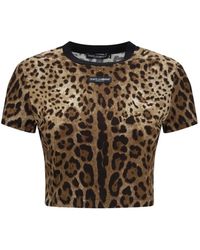 Dolce & Gabbana - Cropped Logo Crew Neck T-Shirt (Size 40) - Lyst