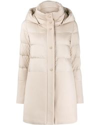 Herno Doudoune à capuche - Multicolore