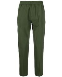 Pmds - Elastische Broek - Lyst